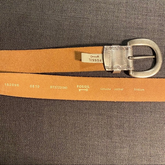 Fossil Belt - Picture 6 of 8